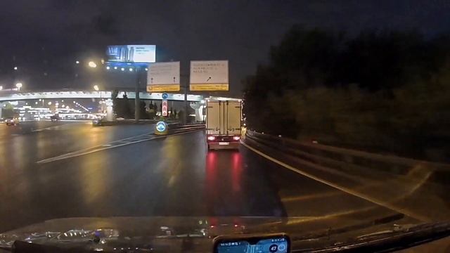 Питер - Краснодар на KIA SPORTAGE 1 . Кошка Абиссинская порода и шиншиллка смотреть онлайн