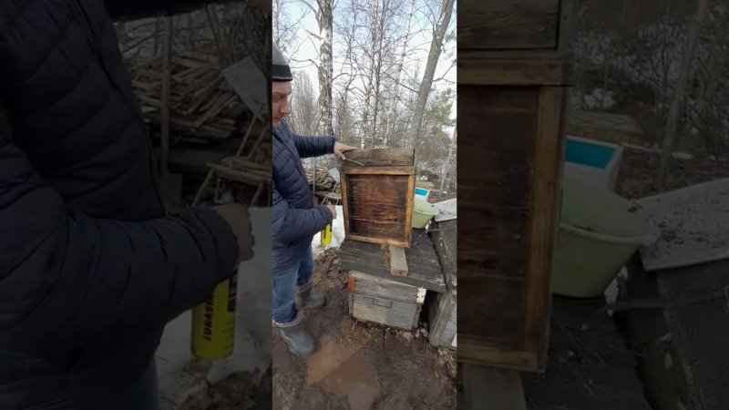 Преимущество деревянных ульев #bee