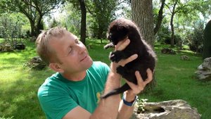 СЧАСТЬЕ Олега Зубкова ! Маленькие леопардики !