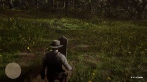 Все Могилы Союзников в RDR2 | Red Dead Redemption 2