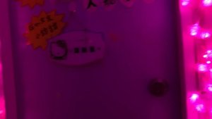 香港 Hong Kong - Red Light District - 2022 | 141 Tour