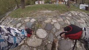Рыбалка на Кавказских Минеральных Водах в Железноводске Октябрь 2016
