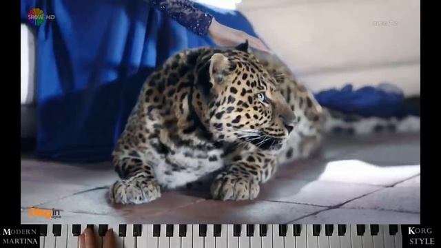 Modern Martina KS  Не Уходи... New EuroDisco Korg Pa 900