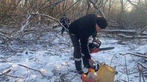 Пилим дрова в лесу stihl-180 (как всегда тестируем новые цепи )Конец сезона