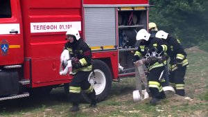 В Сочи в 2023 году произошли 377 пожаров