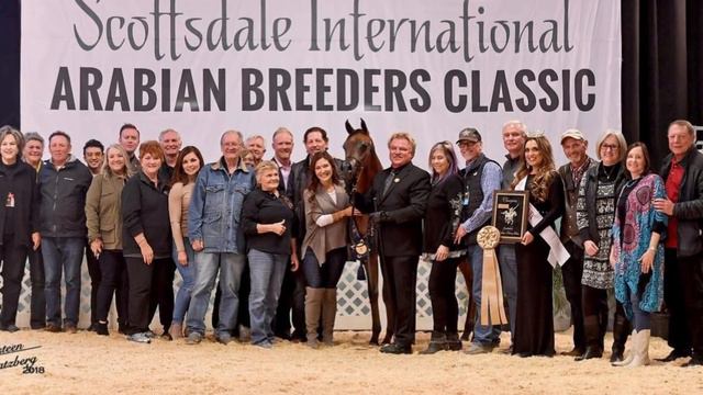 Viral Photos Of A Cartoon-Like Designer Horse Will Make Your Jaw Drop смотреть онлайн