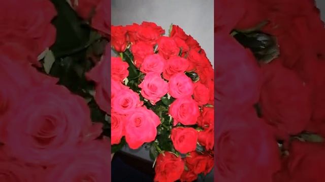 51 РОЗА ПРЕСТИЖ. ДОСТАВКА РОЗ ДНЕПР