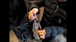 ЗАБОР КРОВИ У ЛОШАДИ ИЗ ВЕНЫ НА АНАЛИЗ. ДЕЛАЮ ЭТО ВПЕРВЫЕ СТРАШНО, НО НУЖНО!!!