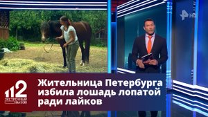 Жительница Петербурга избила лошадь лопатой ради лайков