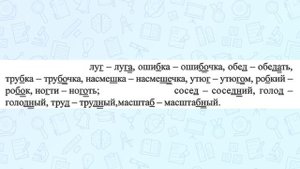 ГДЗ по русскому языку, Ладыженская 5 класс, упражнение 40