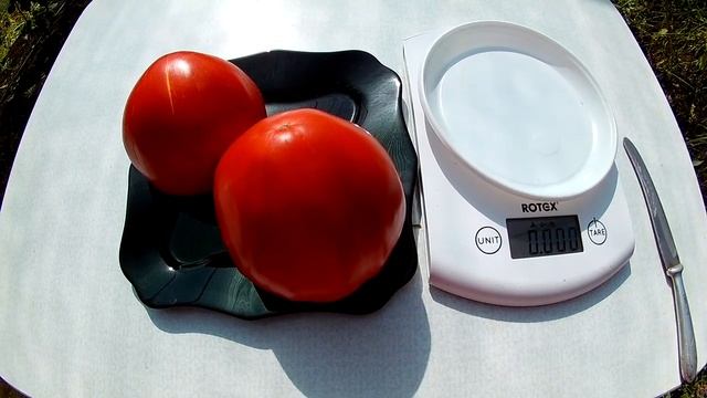 Томат - Homer's German Ox heart (Немецкое бычье сердце Гомера) смотреть онлайн