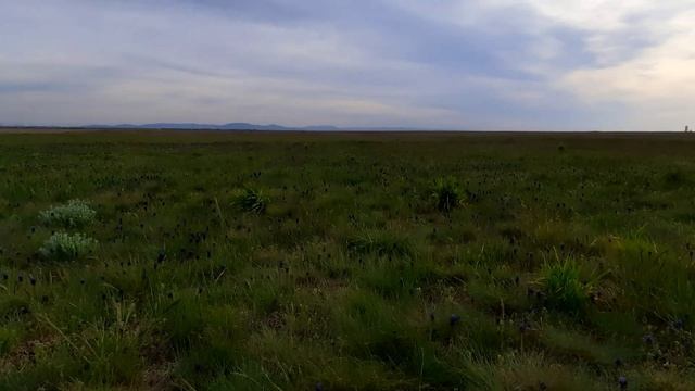 Крым. Озеро Сиваш или Гнилое море.