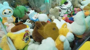 Охотимся за мишкой в аппарате. Часть 2