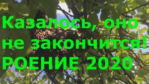 Рои 2020 Большие, странные и огромные!