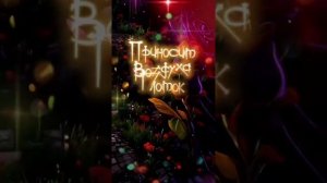 Чудесных снов! Спокойной ночи!