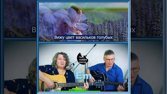 Васильки. Разбрелись возле тихой реки #ретро #песнядлядуши смотреть онлайн