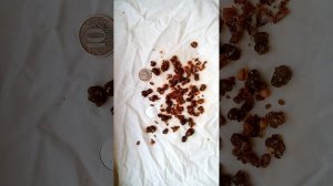 1 очистка от камней в желчном и печени, поджелудочной  жел. аппендикса -  их вывод: