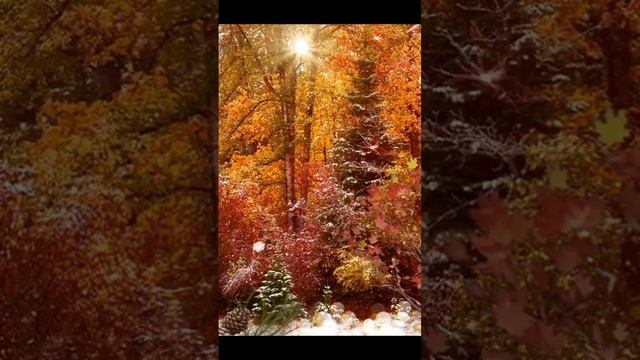 Последний день октября! смотреть онлайн