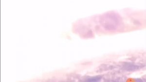 на Америку лосатас упала настаяшия луна