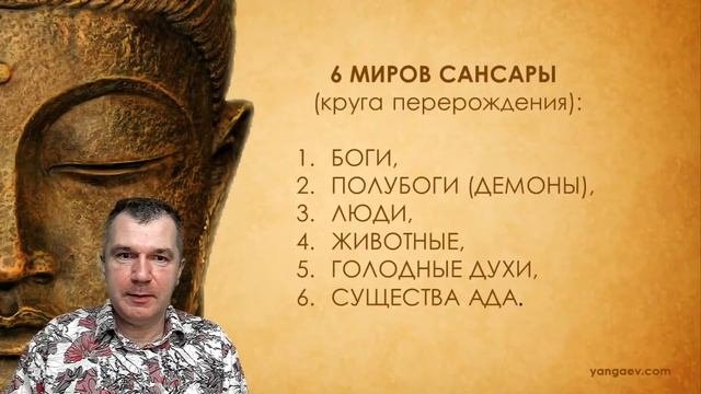 Жизнь между жизнями 1