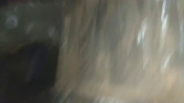 Тут что-то есть? Мёртвые дачи часть 1 смотреть онлайн