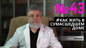 43. Бредущие в тумане