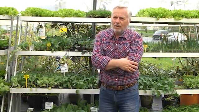 Kmetijski mozaik 23. oddaja / april 2016 смотреть онлайн