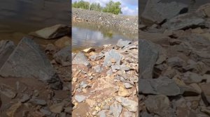 наше поле после прорава дамбы