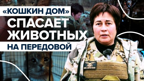 «Зверя ранило, помогите ему, пожалуйста»: пара из ДНР спасает попавших в беду кошек на линии фронта