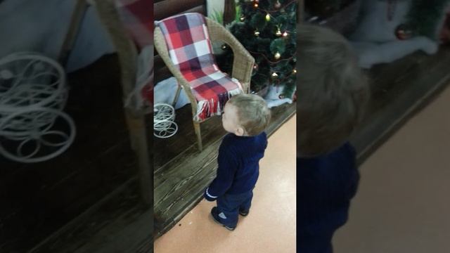 Трогательный зоопарк. Казань. смотреть онлайн