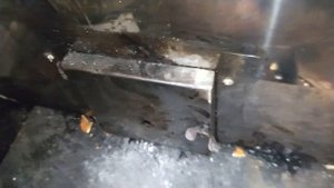 ЛАКЕДРА холодного копчения в электростатической коптильне уэк