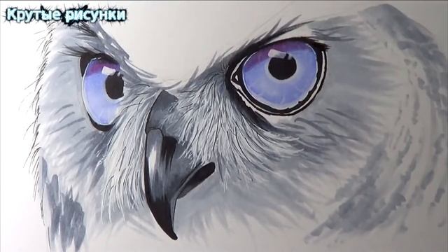 КРУТЫЕ РИСУНКИ КАК НАРИСОВАТЬ СОВУ смотреть онлайн
