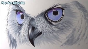 КРУТЫЕ РИСУНКИ КАК НАРИСОВАТЬ СОВУ