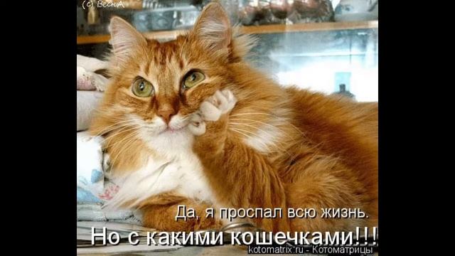 Удачного начала недели! Понедельник вновь пришел