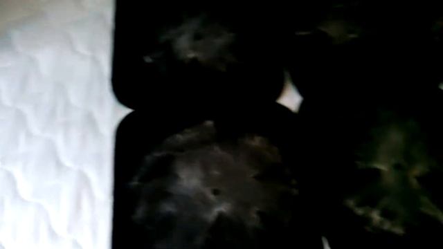 Результат Чистка детского матраса 1 год (Одесса) смотреть онлайн