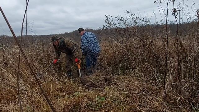 Нашли кабину от ПОЛУТОРКИ. Вывезли уже свыше двух тонн с урочища. Металлокоп. Коп металлолома.
