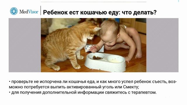 Ребенок ест кошачью еду: что делать?