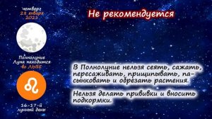 Календарь огородника на 28 января 2021 года. Лунный посевной календарь садовода | Флористикс Инфо