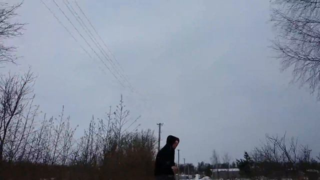 Немецкая овчарка Рокки 7мес. Тянет санки с детьми
