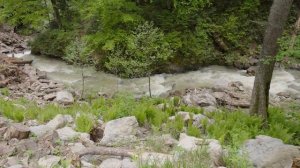 Relaxing Hike Mendelikha Waterfalls Park 4K?Binaural 3D Ambient Nature Sounds Mountain Walking Tour