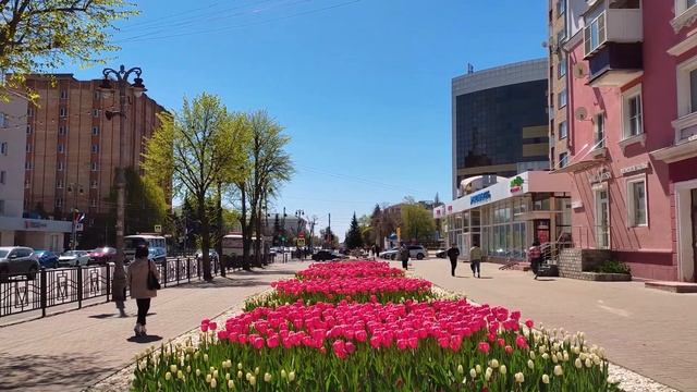 Тюльпаны. Курск. смотреть онлайн