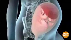 "Откуда дети берутся?" Теперь по-взрослому. Доброе утро. Фрагмент выпуска от 16.01.2020