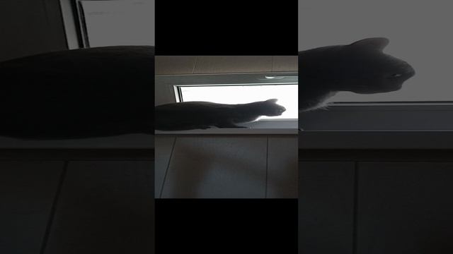 Удачно прыгнула