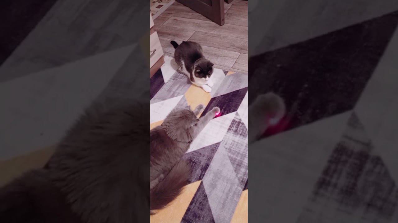 Друзья ♥️