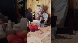 My Way (Frank Sinatra) cover #harmonica #music #cover #губнаягармошка #я