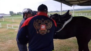 Кабардинская порода лошадей, 10 дней по 100 км.