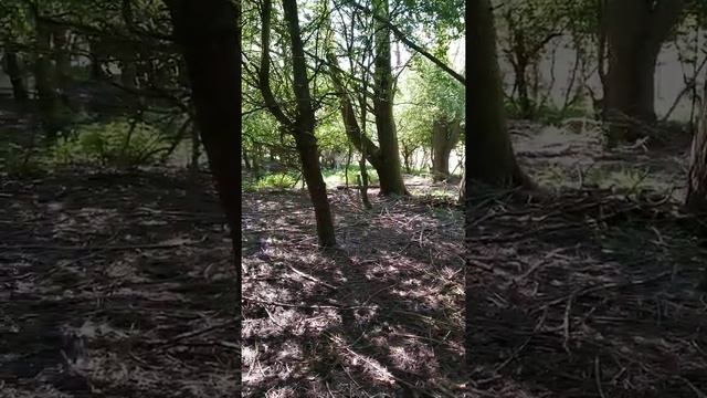 Horsterwold Zeewolde The Netherlands смотреть онлайн