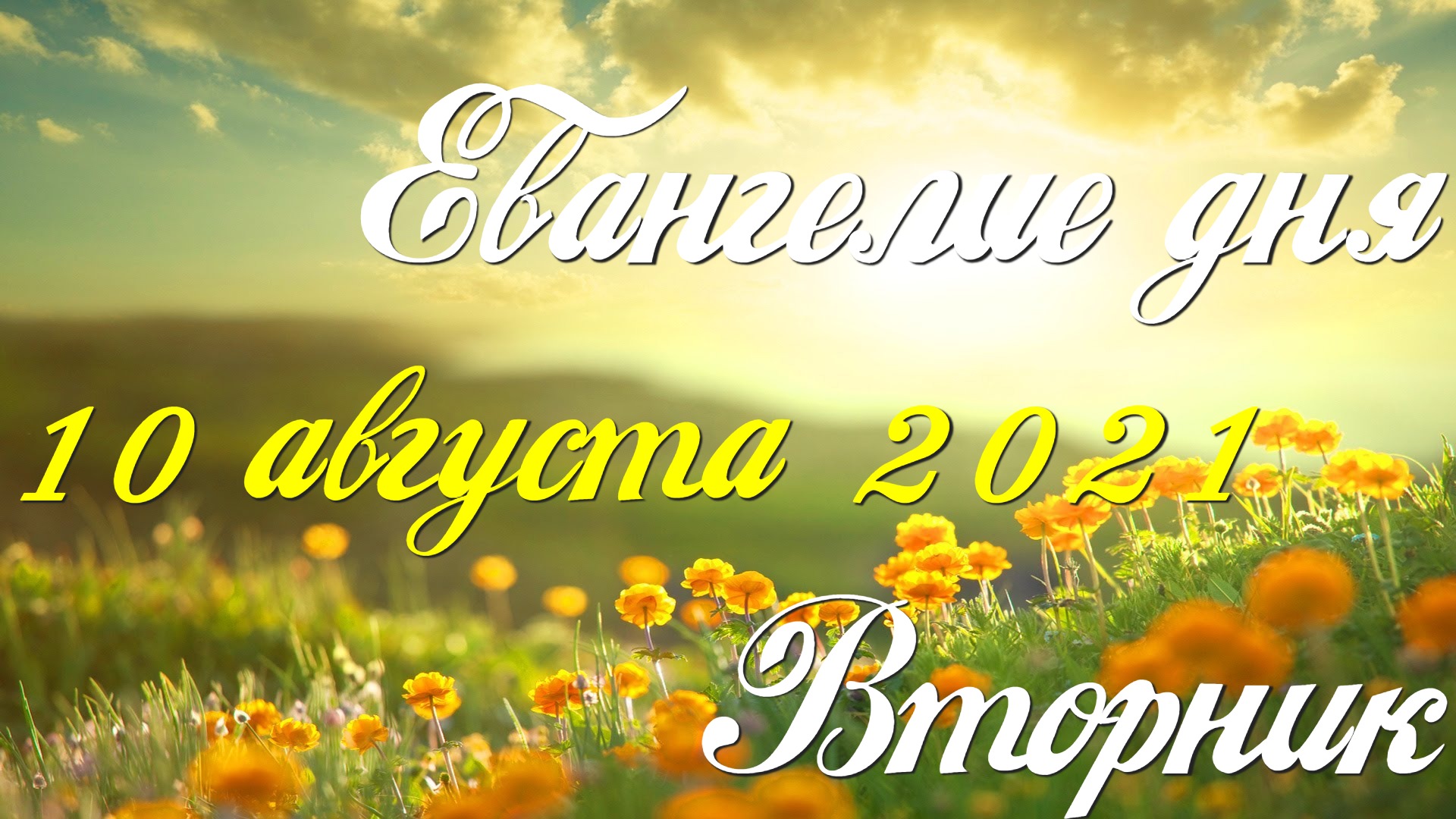 Читаем Евангелие дня. 10 августа 2021. Чтение от Матфея