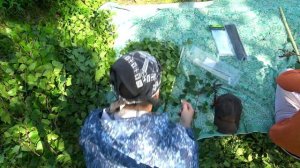 Как связать березовый веник, Станок для вязания банных веников, Как сделать березовый веник