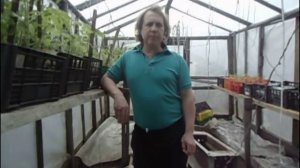 Закаливаем помидоры перед высадко